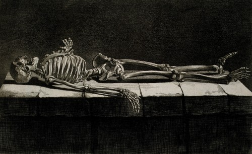 gucciballs:scribe4haxan:Nouveau recueil d’osteologie et de myologie (1779 - Engraving) - Jacques Gam