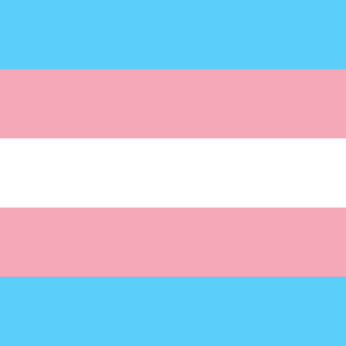 trans flag stimboard for @gentlebreadslice !!(bottom middle gif credit: x)