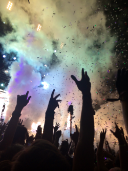 kinserwhite:  Bassnectar at Mystik Sanctuary 2014 