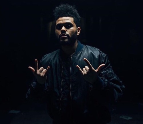 theweeknd: xo