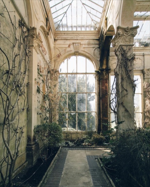 ourantonia: Castle Ashby Orangery