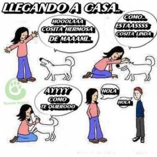 MINIGAG