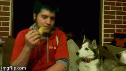 Failsnet:  Tumblr Fails.net - Anytime Anyone Looks At You