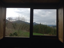 methlake:  cool view from emilys window 