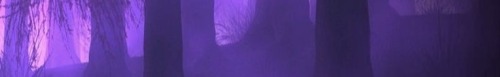 M #1
