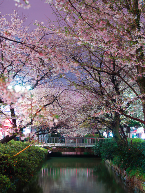 ethertune:  PhoTones Works (By Takuma Klmura) 