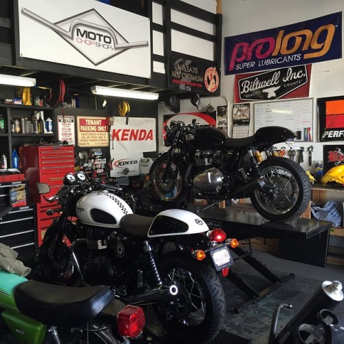 xdivla:  Thanks @motochopshop for fixing adult photos