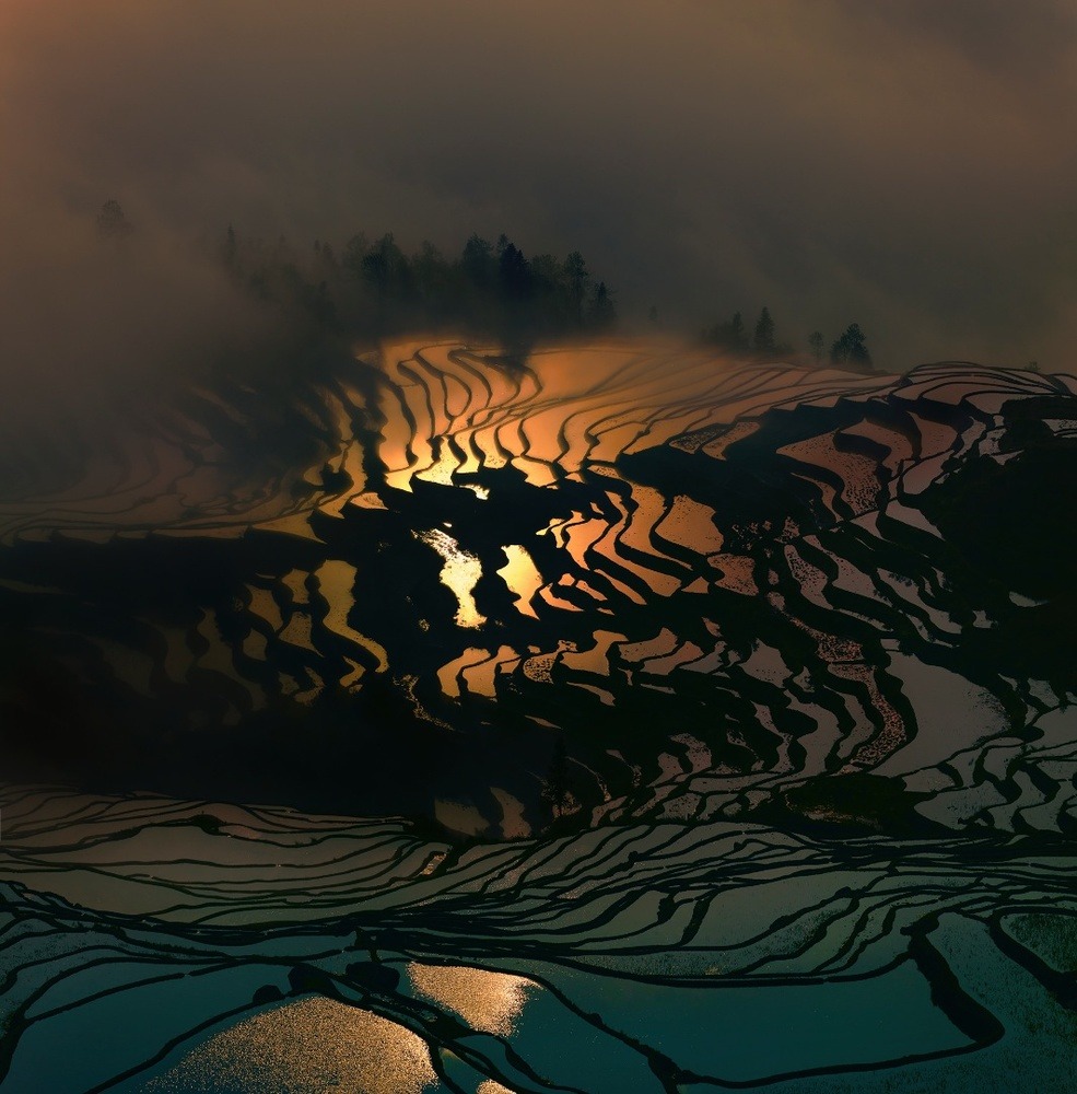 thekhooll:  Beauty Paddy of China Thierry BornierThe Hani Rice Terraces, covering