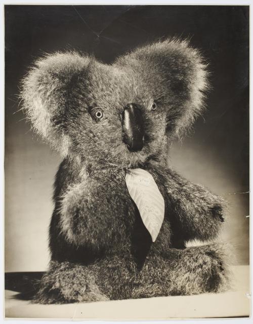 Aussie Bear toy koala, ca. 1944-1945 / photographed by Milton Kent and Noel Rubie