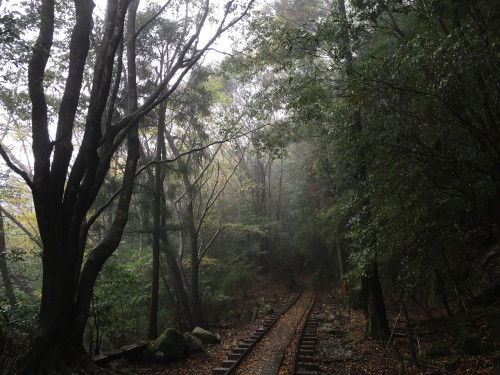 90377:Yakushima(縄文杉) by stalker23