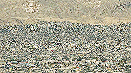 allfonsocuaron:In Mexico, Sicario means hitman