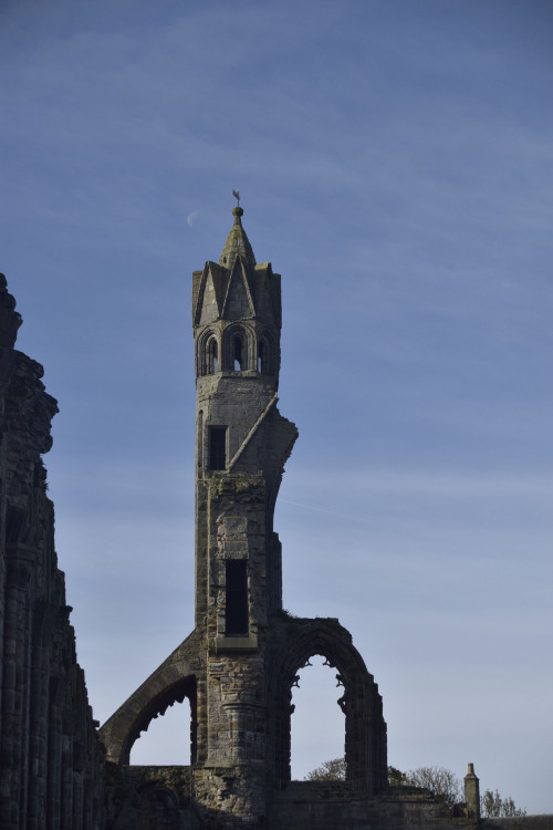 on-misty-mountains: St Andrews Cathedral Built in 1158, the cathedral became the centre of the Medie