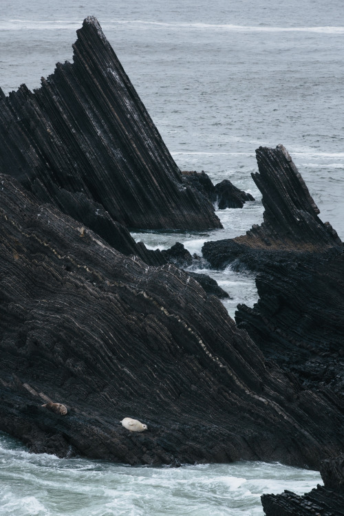 cdelehanty:San Pedro Rock, Pacifica