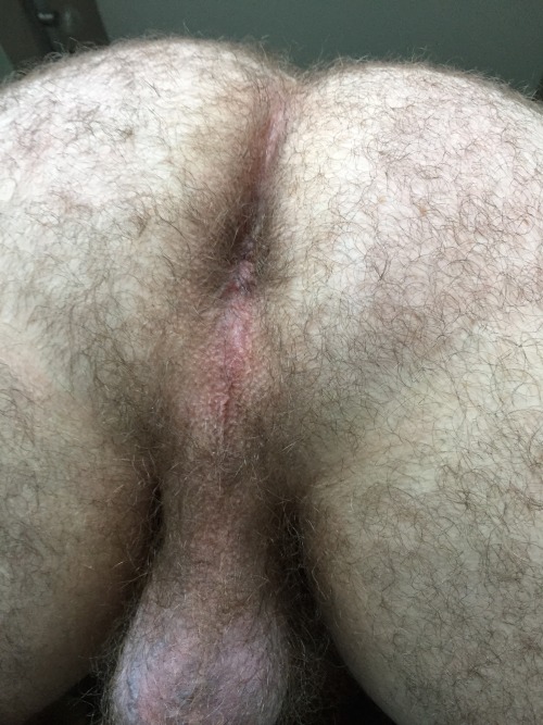 cockinthecockhouse:  furrynakedboy:Hairy Boys Ass  Thx prior posters!