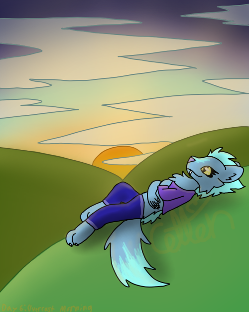 Day Six: Overcast Morning