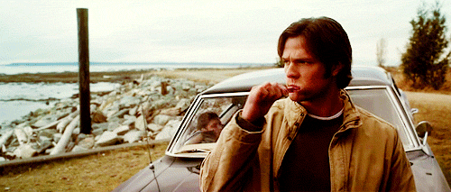 chibi-cas:  witchyroses:  supernaturalapocalypse:  wincstiel:  supernaturalapocalypse: