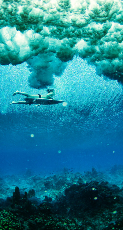 highenoughtoseethesea: Underneath ph Jason Kenworthy
