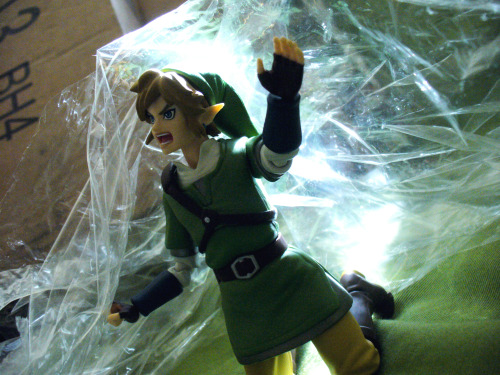 89ravenclaw: Link helps me open the freshly-arrived Hyrule Historia