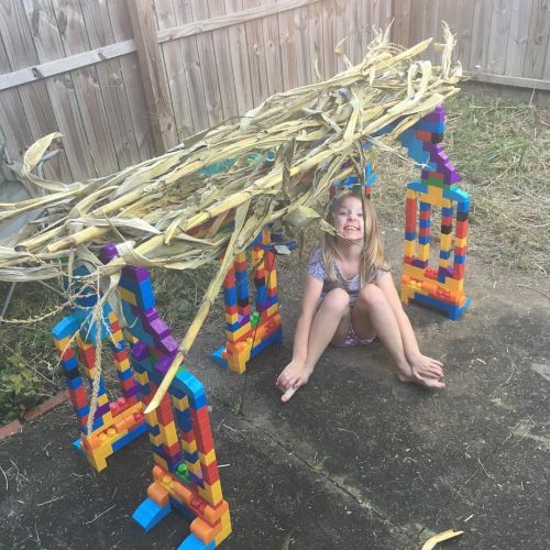 Happy Sukkot! Chag Sameach! Our sukkah is a little small, but Lorelai says it’s a sukkah for cats—a 