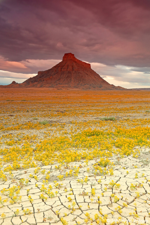 landscape-photo-graphy: Dry Terrain of the American West Captured in a Brief Moment of Color by Guy 