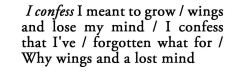 metamorphesque:    — Leonard Cohen, Selected Poems   [text ID: I confess I meant to grow/ wings and lose my mind/ I confess that I’ve/ forgotten what for/ Why wings and a lost mind]