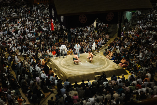 Natsu Honbasho, Tokyo, May 2016