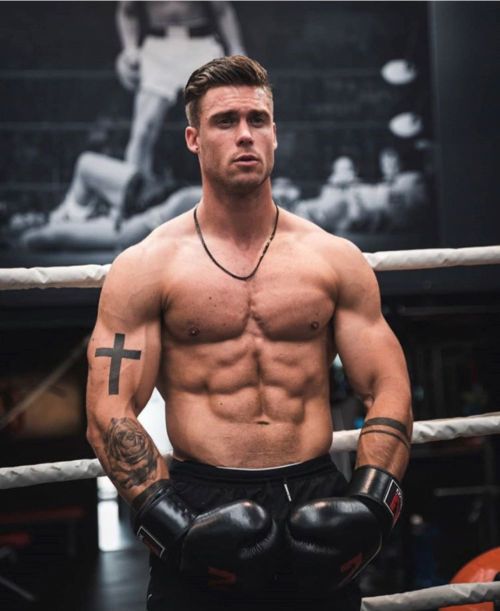 bears-muscle-boxing:  Gloves, arms &