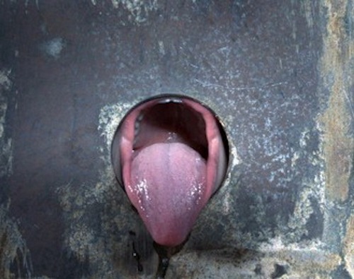 pigshouse:  Hole