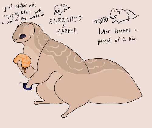 Hiii I Know Youre More Of An Iterator Person But Im Curious If You Have Designs For The Slugcats?