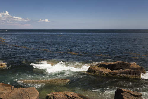 Scenes from Acadia National Park