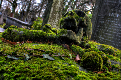 sixpenceee:A skull gravestone overgrown with moss. This is located in Brugge General Cemetery in Bel