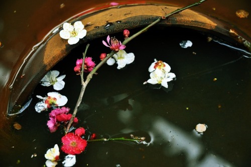 Photographs of Chinese temples. The first one is zhaitang（斋堂）which is vegetarian dining hall for mon