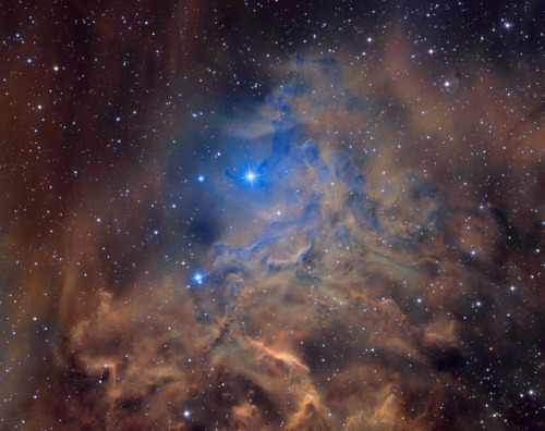 the-wolf-and-moon: IC 405, Flaming Star Nebula
