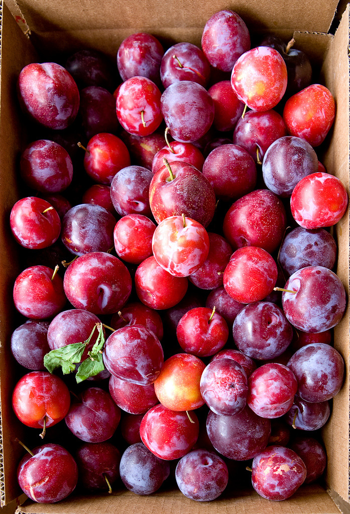 faithhealthlife:  Unf… CAN I TAKE YOU HOME WITH ME?! 