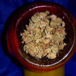 theprettylittlestoner:  And bowls fuck it 😄