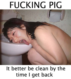 Rape Pigs