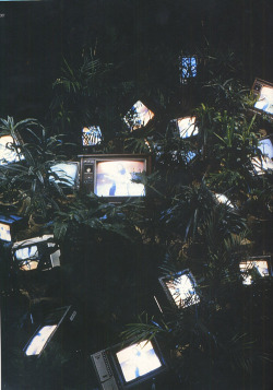 bustakay:Tv Garden (1974) - Nam June Paik.