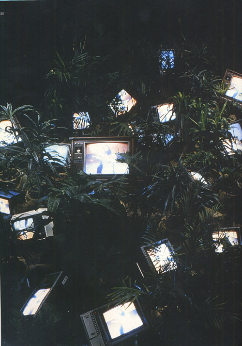 Tv Garden (1974) - Nam June Paik.