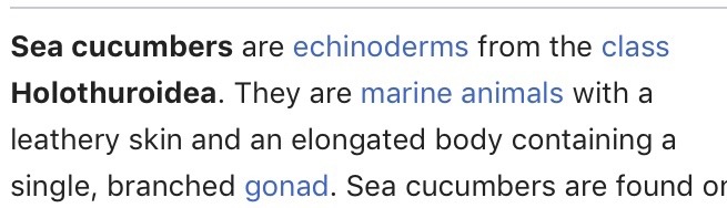 xanthera:weirdmageddon:weirdmageddon:dude kevin the sea cucumbers “hat” was actually his nuts and his goons fucking ripped it off#stephen hillenburg was a marine biologist #he damn well knew this  