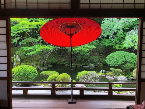 圓満院庭園 [ 滋賀県大津市 ] Enmanin Temple Garden, Otsu, Shiga の写真・記事を更新しました。 ーー室町時代の京都の作庭家 #相阿弥 による国指定名勝庭園&ldq