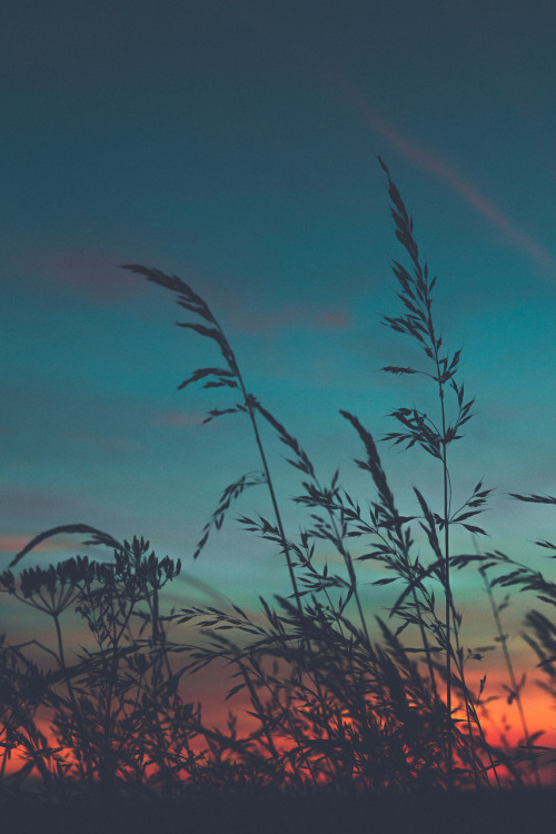 http://colorsfromsky.tumblr.com/post/155331254500