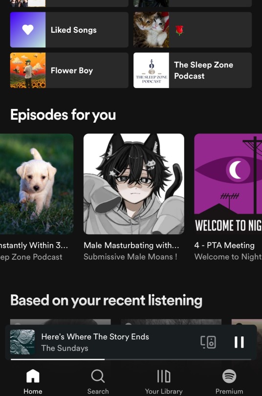 I Really Have No Idea What I Did To Get This Recommendation