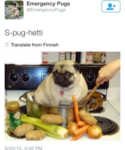 ethioprah:  wueer:  this is so beautiful  u cooked ur pug nice job asshole 