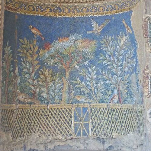 giuseppeciaramella:#napoli#ninfeo mosaico #museo #archeologico #valletwww.instagram.com/p/Bv