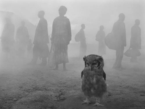 henk-heijmans:Harriet and people in fog, Zimbabwe, 2020 - by Nick Brandt (1966), English