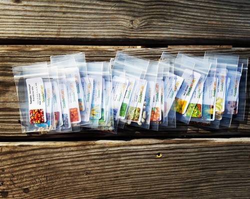 My day just got a little bit brighter #seeds #offthegridliving #sustainableliving