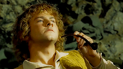 shewhodoesnotexist:weirdpolis:shiremaiden:LOTR CHAPTERS: THE TWO TOWERS - Chapter Eight: The Road to