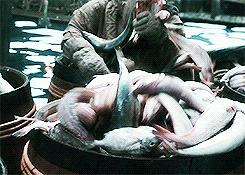 faramihr:  Some angry, fish-covered dwarves (and hobbit, of course). 