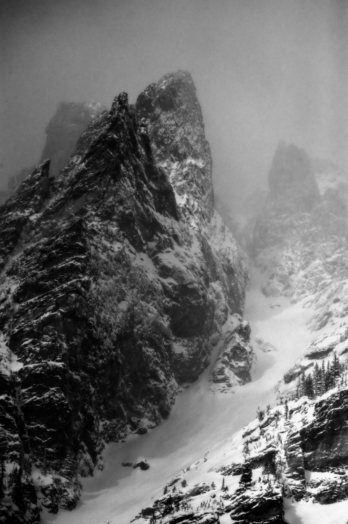 Into the Unknown