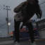 y-ellowgirl